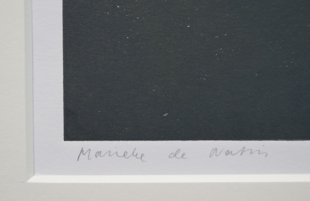 Marieke de Natris - gesigneerde monotype - 1996 kopen? Bied vanaf 20!