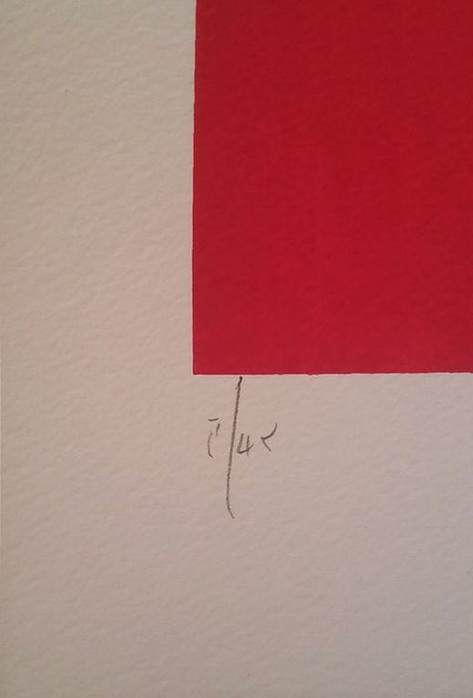 Hayden Kays - Tweeluik - Vote (blue&red edition) - handgesigneerde zeefdruk kopen? Bied vanaf 145!