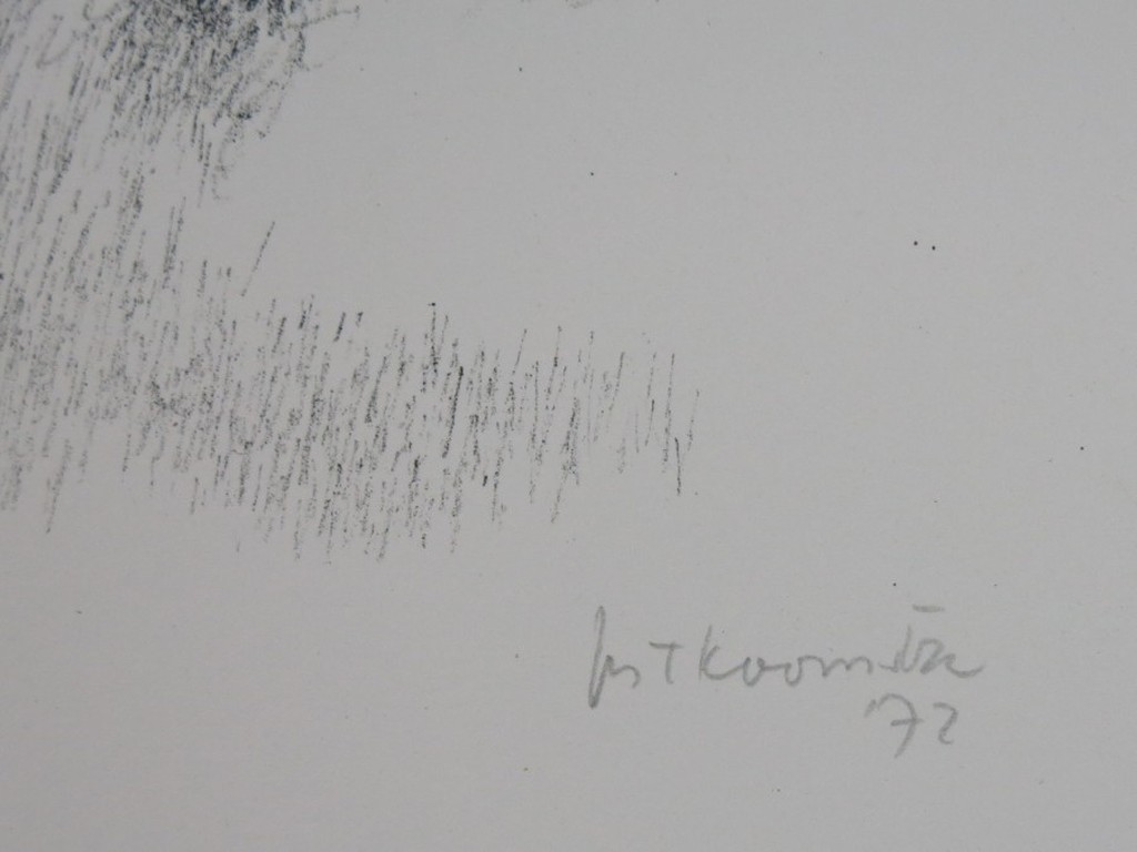 Metten Koornstra: Litho, Landschap met huisje kopen? Bied vanaf 50!