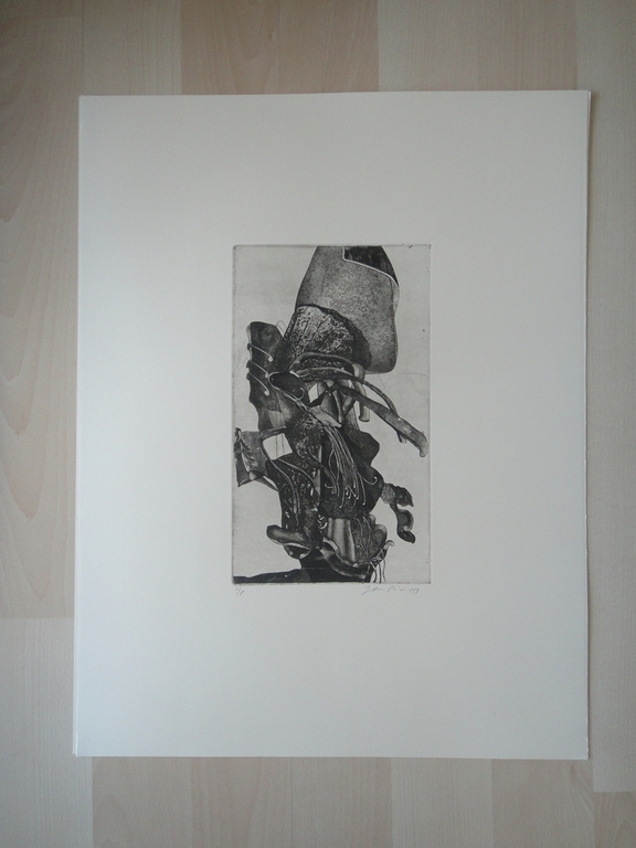 Jan Prins (1956) - (zeldzame) ets - tropische bloemen II kopen? Bied vanaf 1!