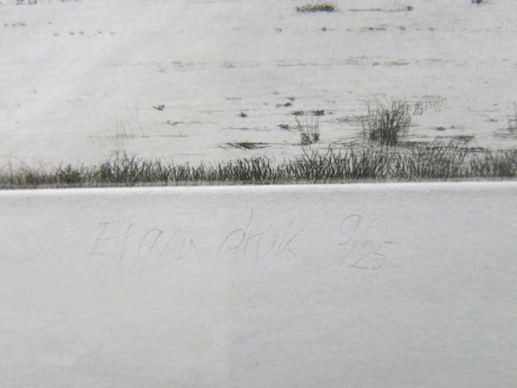 Willem den Ouden: Ets, Zeegezicht kopen? Bied vanaf 25!