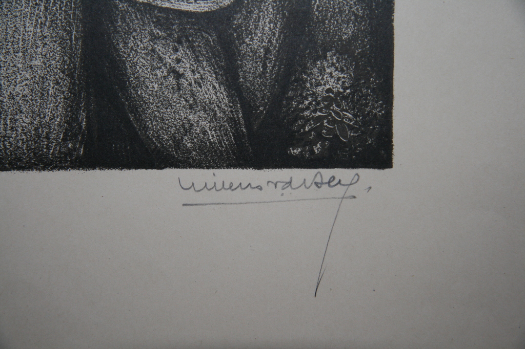 Willem van den Berg, Lithografie, Boerenkermis kopen? Bied vanaf 35!