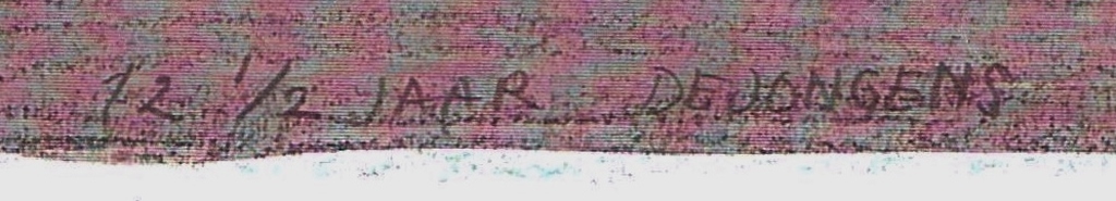 Peter van Poppel, Zeefdruk, 12 1/2 jaar De Jongens, Gesigneerd kopen? Bied vanaf 75!