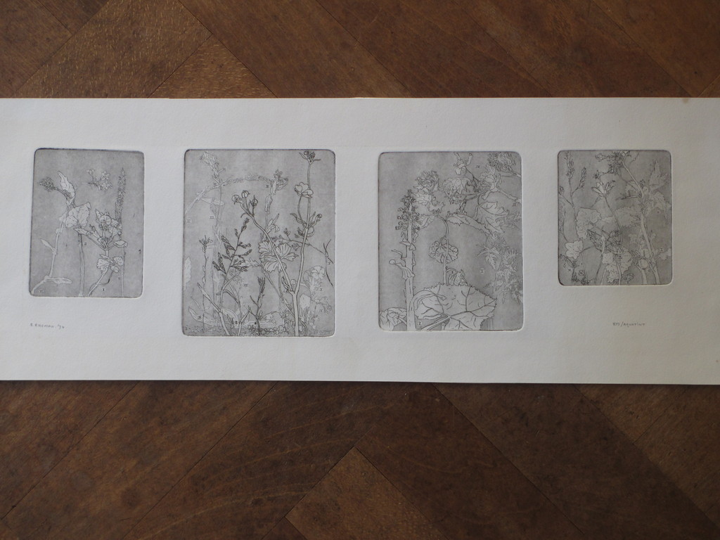 Reinder Homan - Reinder Homan, Anatomie der Planten, 4 Etsen verkocht voor € 110!