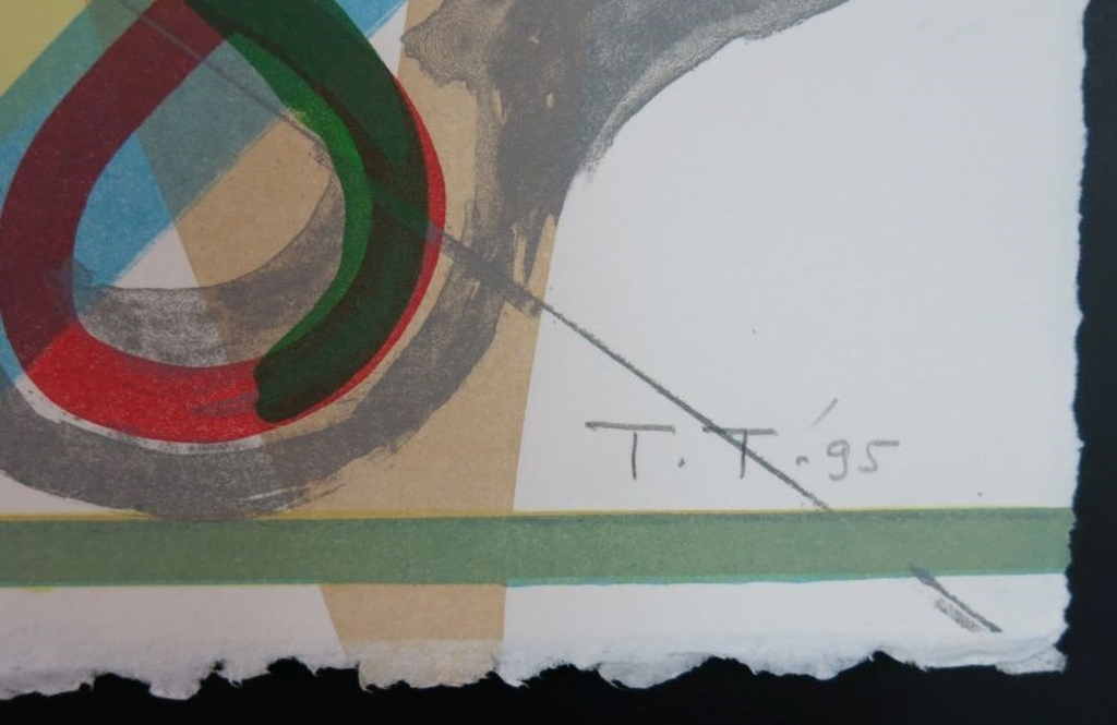 Toon Teeken: Zeefdruk, Z.T. II kopen? Bied vanaf 1!