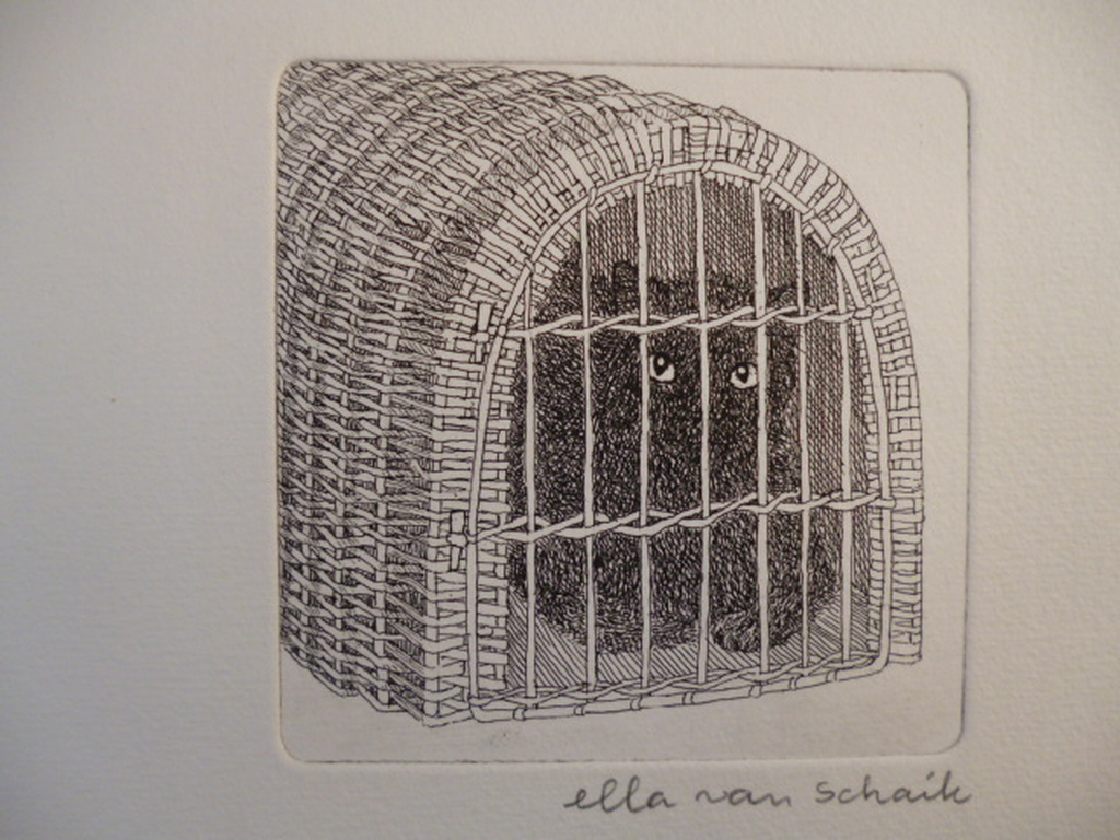 Ella van Schaik - ets - Poes in reismand kopen? Bied vanaf 20!
