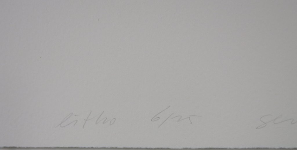 Gert Taken Zonder Titel ll Litho Ingelijst kopen? Bied vanaf 50!