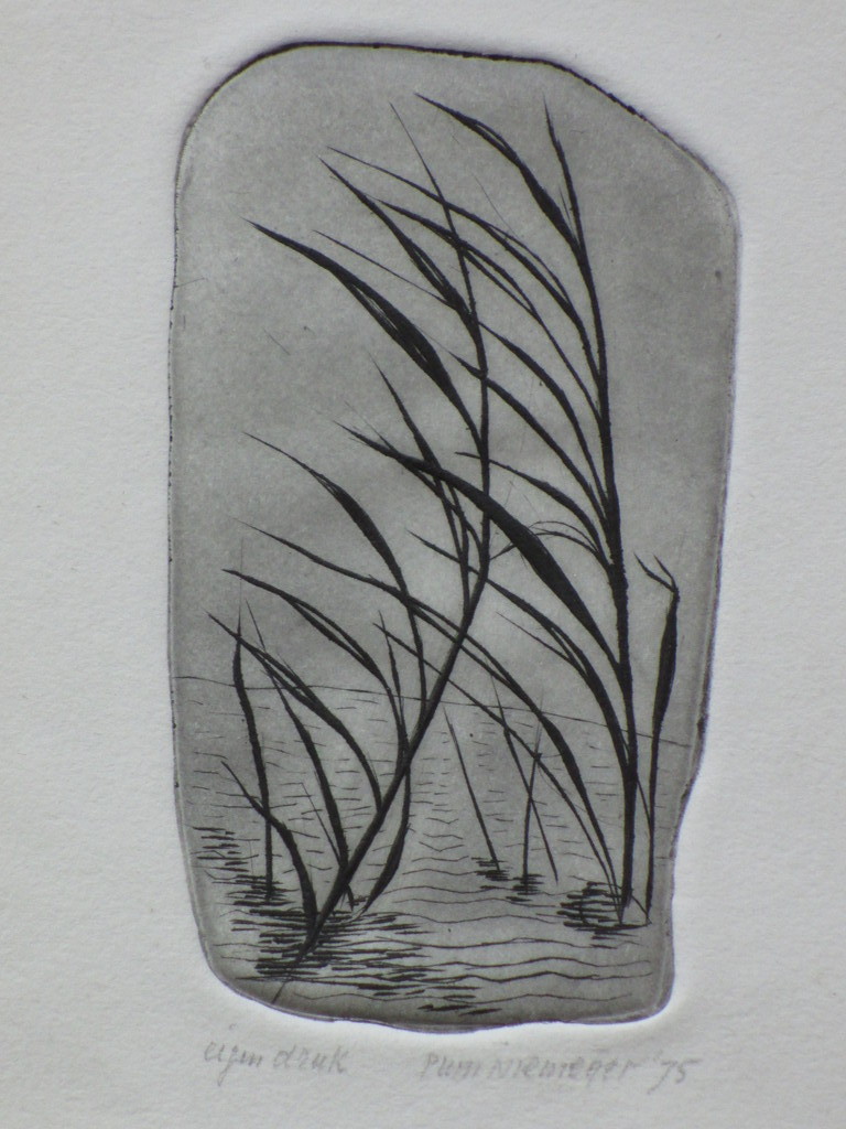 Pum Niemeijer - Pum Niemeijer, Rietkraag aan het water, Ets kopen? Bied vanaf 1!