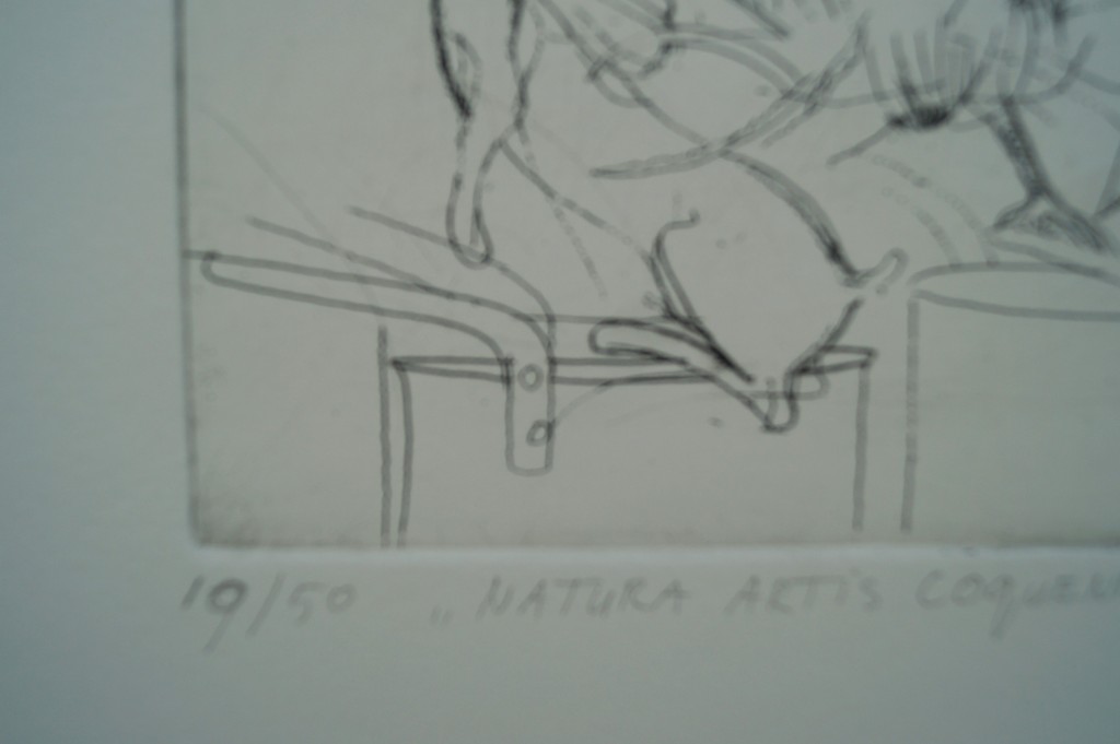 René van Tol - gesigneerde ets - Natura Artis Coquendi Magistra - 50 ex. kopen? Bied vanaf 1!