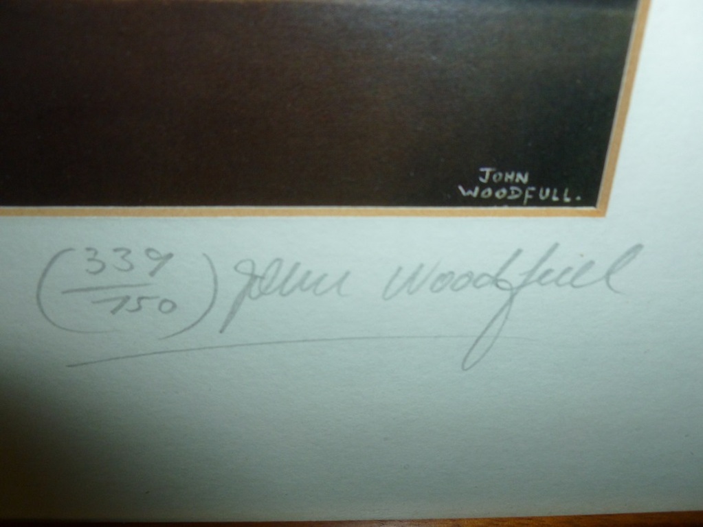 Litho,getiteld / doubling up / van de Ierse kunstenaar John Woodfull. kopen? Bied vanaf 35!