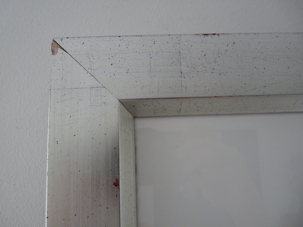 JAN CREMER   ZEEFDRUK  TULPEN kopen? Bied vanaf 185!