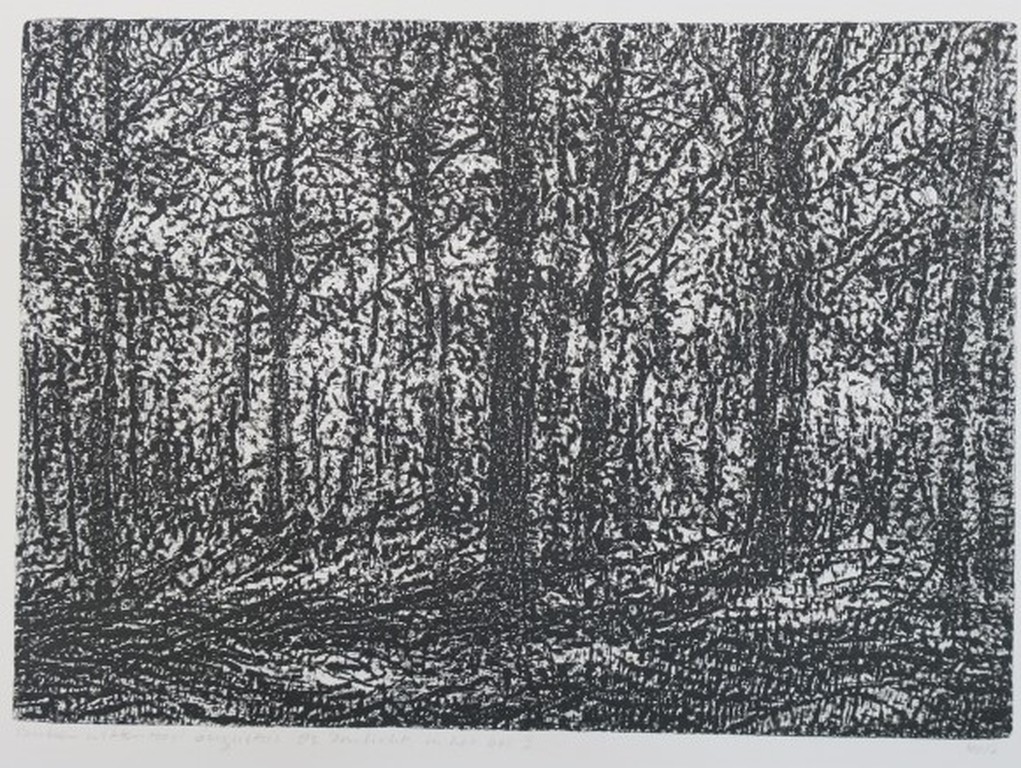 Paulien Wittenrood: Ets, Zonlicht in het bos 1 verkocht voor € 50!