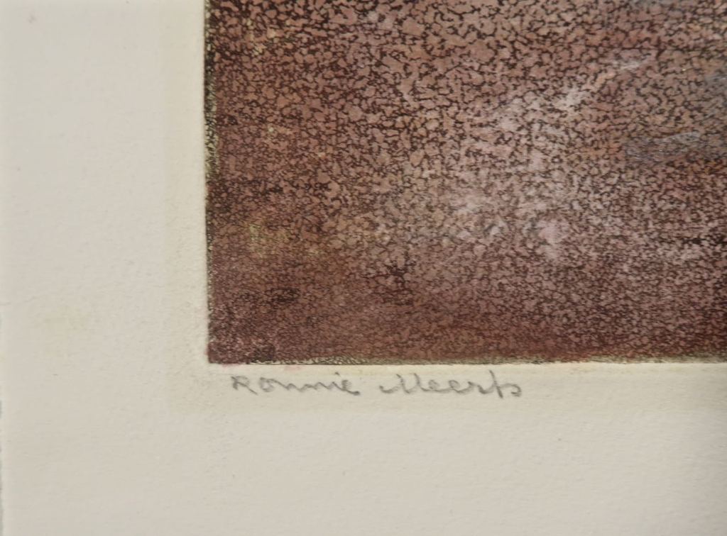 Ronnie Meerts: Ets, Eirons kopen? Bied vanaf 1!