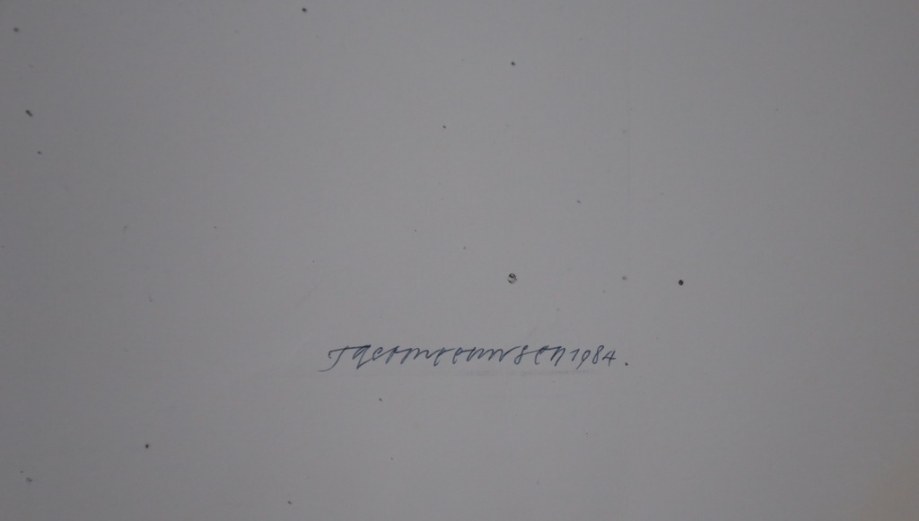 Taco Meeusen: Litho, Pisca Prehistorica  kopen? Bied vanaf 1!