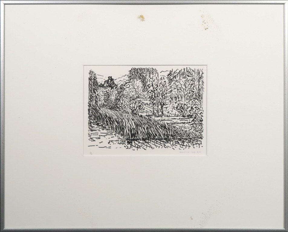 Lot met 5 Zeefdrukken van Annette Ong: Wandeltochten III - 4x Ingelijst kopen? Bied vanaf 20!