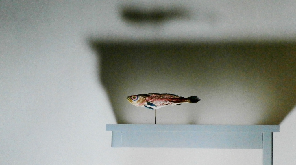 Jean Ruiter - foto - 1986 kopen? Bied vanaf 60!