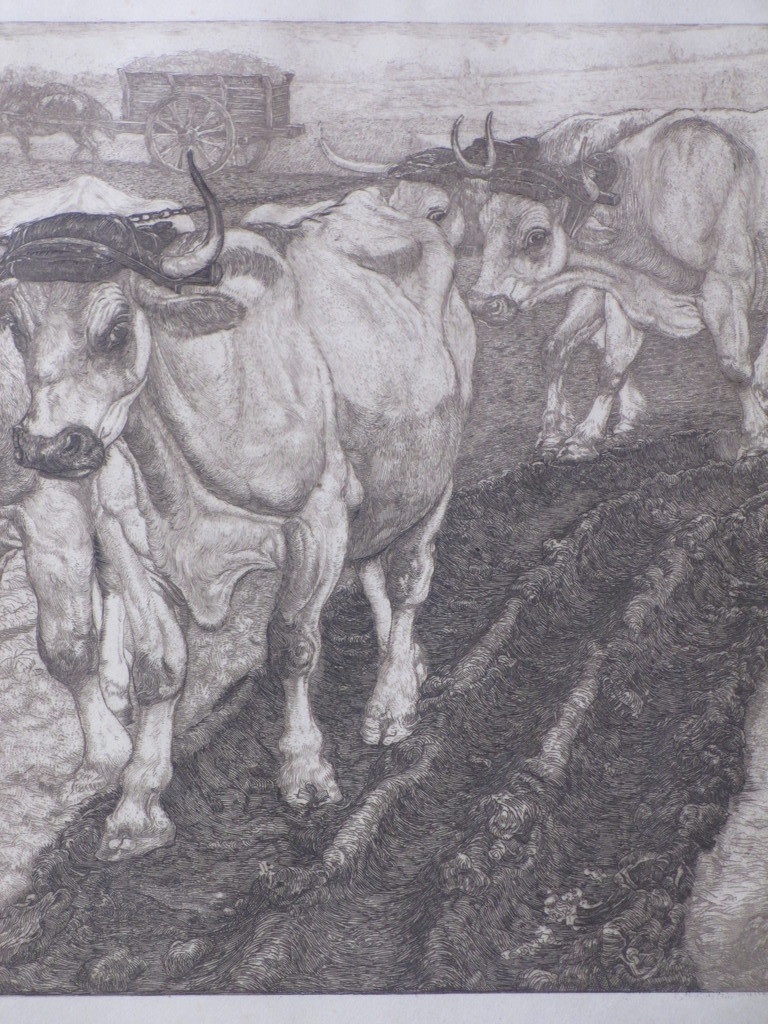 Pieter Dupont, Ploegende ossen, Ets op koper kopen? Bied vanaf 150!