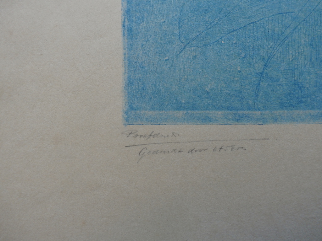 Frederika Broeksmit - Kleurenlitho: Slootje met waterlelie  kopen? Bied vanaf 55!