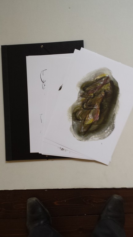 CHRIS van HARSKAMP. -26 prachtige kleurenlitho’s in luxe map- kopen? Bied vanaf 79!