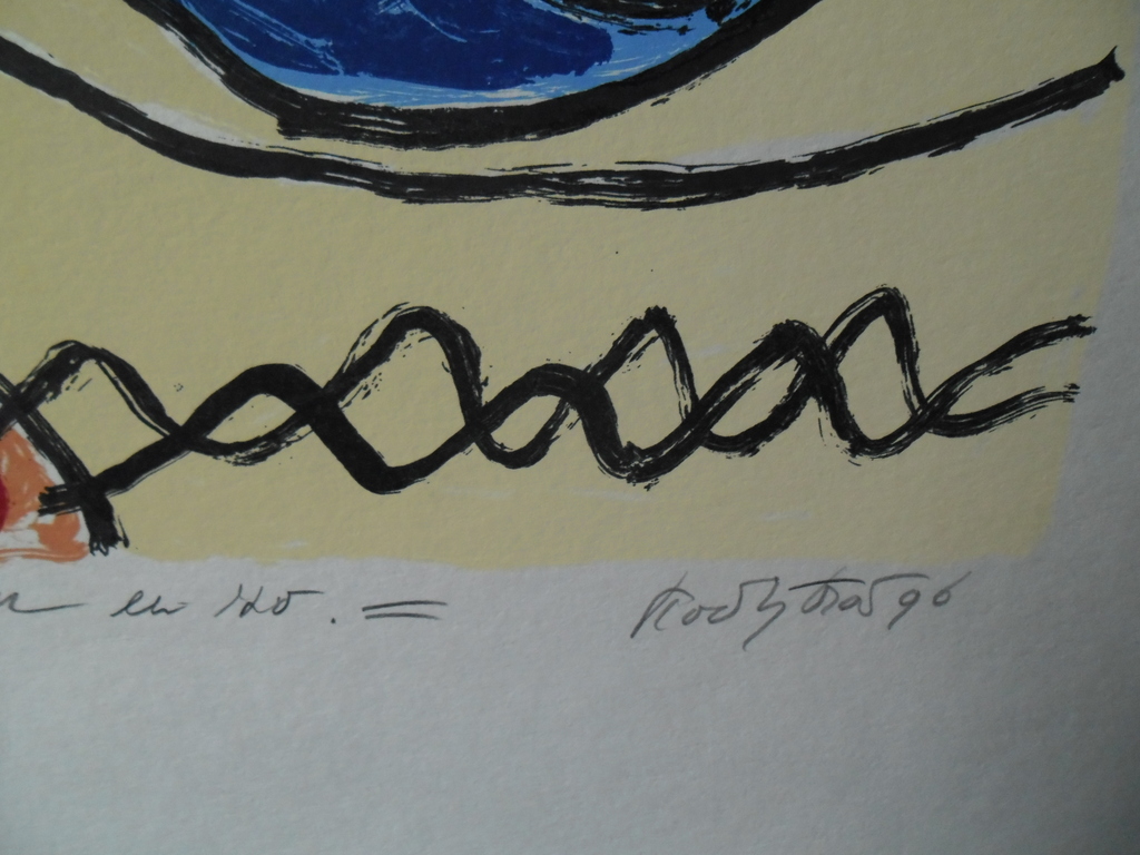   Titel : Mooie gedachten . Kleurrijke speelse zeefdruk. kopen? Bied vanaf 45!