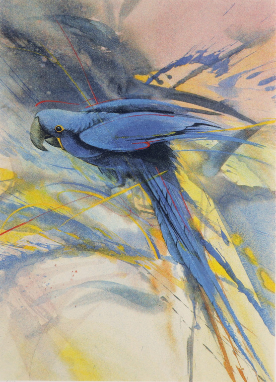 Walty Dudok van Heel: Litho, Ara kopen? Bied vanaf 1!