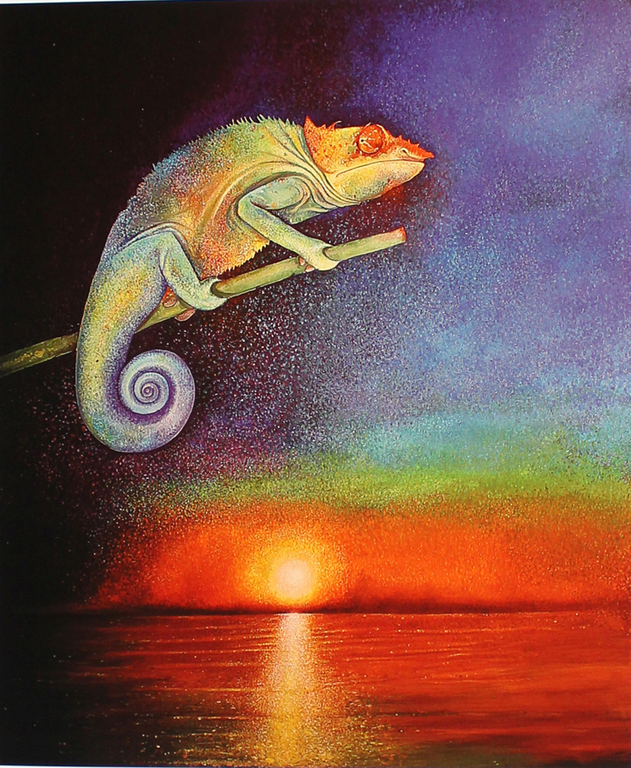 Bruno Bruni -Kameleon bij zonsondergang- Ragfijne Pigmentdruk. Gesigneerd. 2017 kopen? Bied vanaf 75!