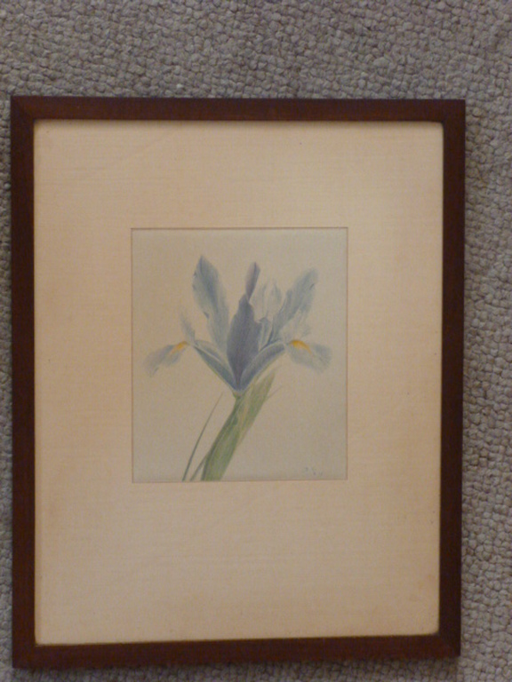 Dirk Harting - tekening - Blauwe iris kopen? Bied vanaf 75!