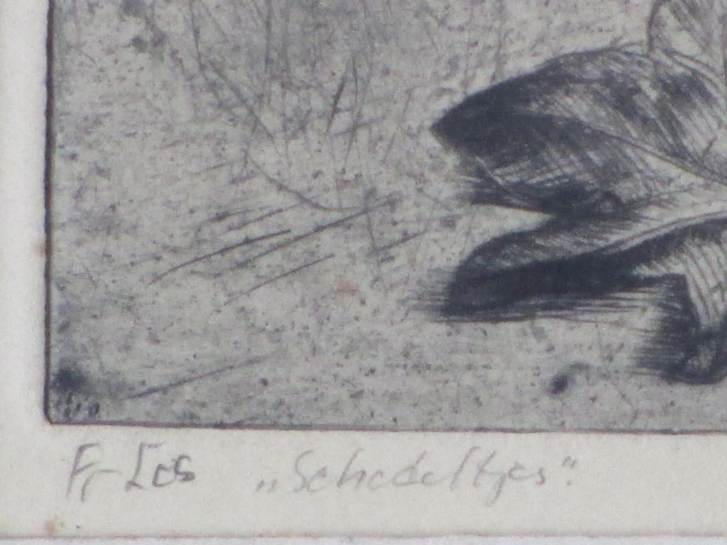 Freerk Los, Schedeltjes, Ets kopen? Bied vanaf 35!