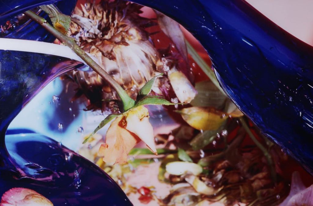 Margriet Smulders: Cibachrome print, Dioysos (Groot) kopen? Bied vanaf 1500!