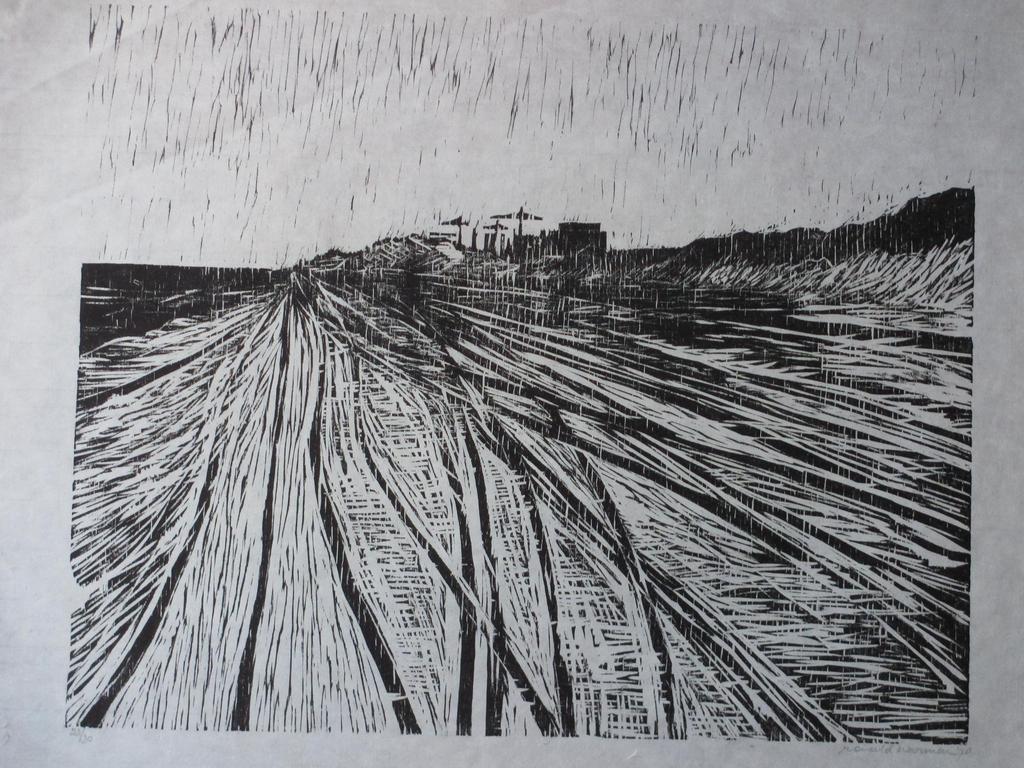 Ronald Noorman, Landschap, Houtsnede verkocht voor € 40!