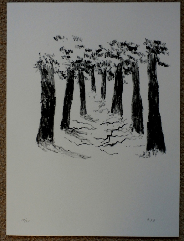 Armando - litho: confrontaties tussen potlood en papier (bomen)  kopen? Bied vanaf 225!