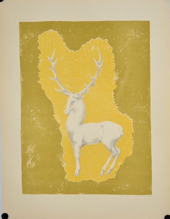 John Raedecker: Kleurenlitho. (Handgesigneerd) kopen? Bied vanaf 50!