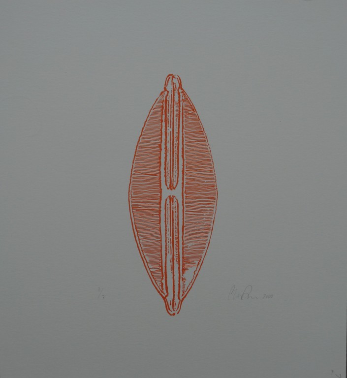 Onbekende kunstenaar - 4 gesigneerde zeefdrukken met gelijke oplagenummers kopen? Bied vanaf 10!