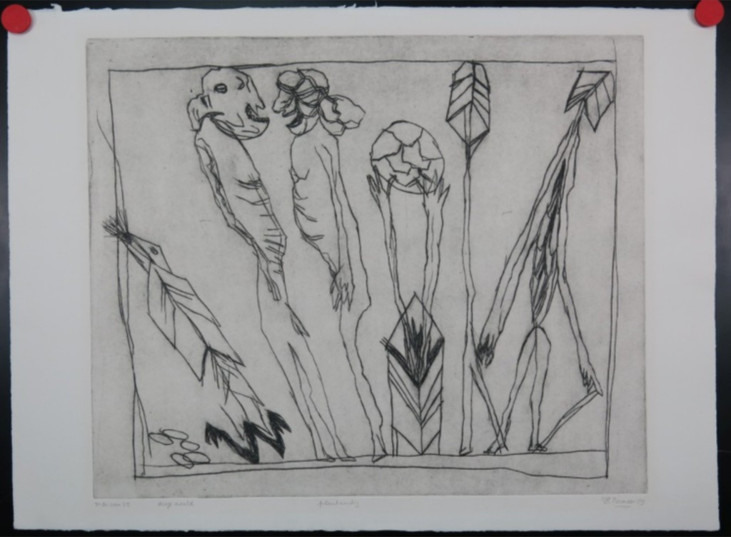 Hanny Ramaer: Droge naald, Plantaardig kopen? Bied vanaf 1!