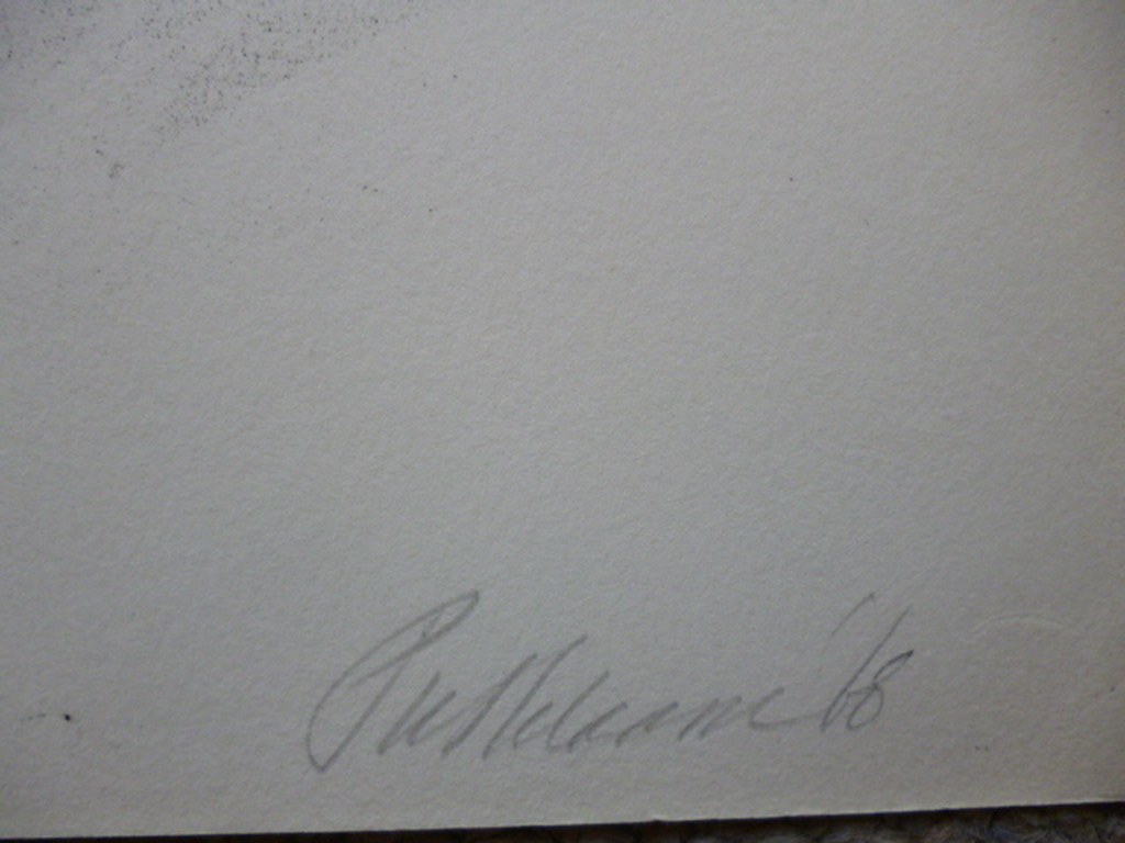 Piet Klaasse - litho - Stier kopen? Bied vanaf 45!