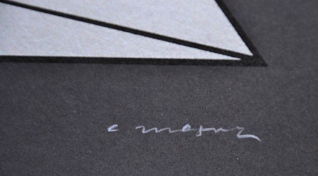 Christian Megert: Zeefdruk. Driehoek in zwart kopen? Bied vanaf 1!