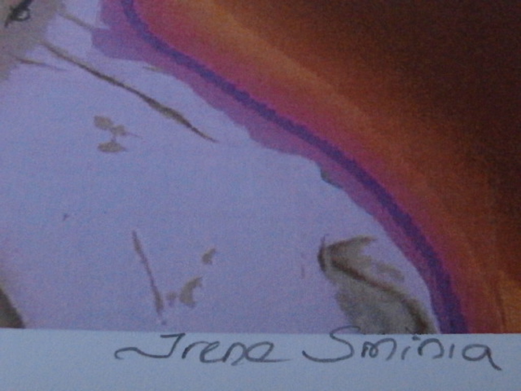 irene sminia - shirley + foto kopen? Bied vanaf 50!