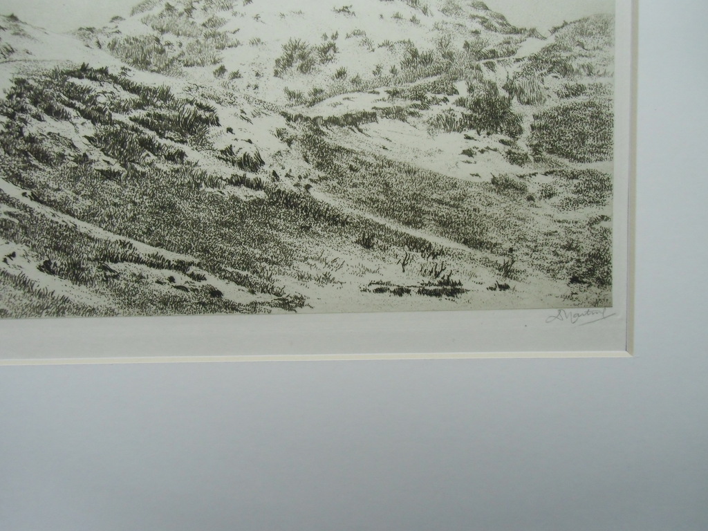GROOT DUINLANDSCHAP  //  ETS VAN DIRK HARTING kopen? Bied vanaf 40!