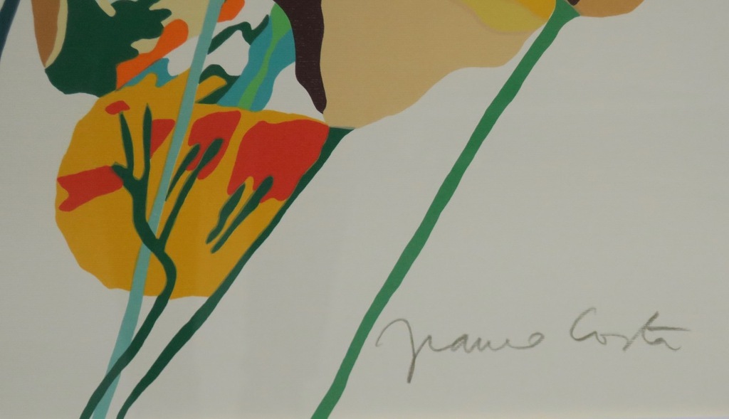 Franco Costa: Litho, Fiori per tutti - Ingelijst (Groot) kopen? Bied vanaf 1!