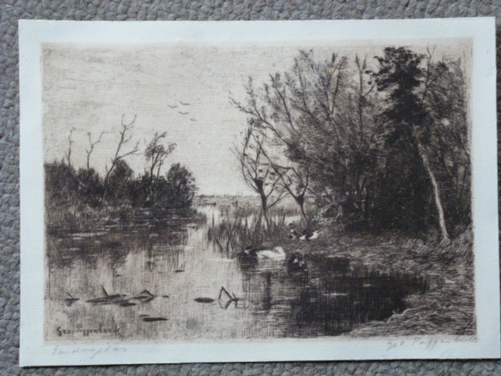 Geo Poggenbeek - ets - Eendenplas kopen? Bied vanaf 25!