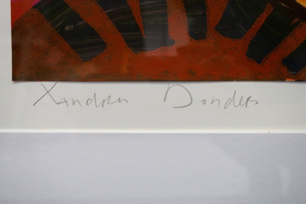 Xandra Donders: Gem.techniek, Romance (rood) kopen? Bied vanaf 1!