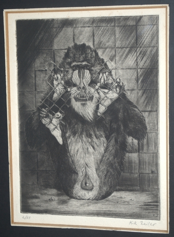 Kik Zeiler, zeldzame ets van een mandril oplage 55 - incl. kunstboek kopen? Bied vanaf 50!