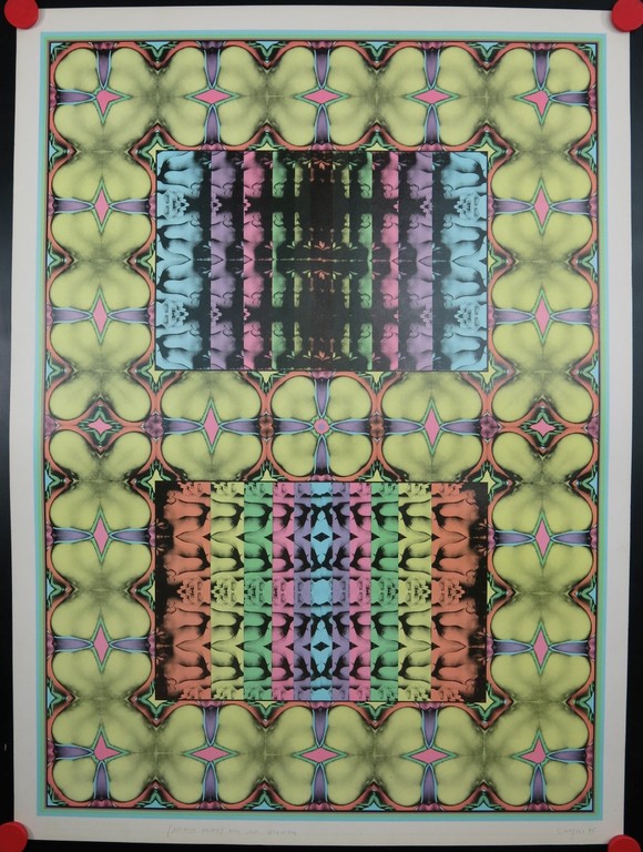 Shinkichi Tajiri: Offset, My Secret Garden No 1 kopen? Bied vanaf 70!