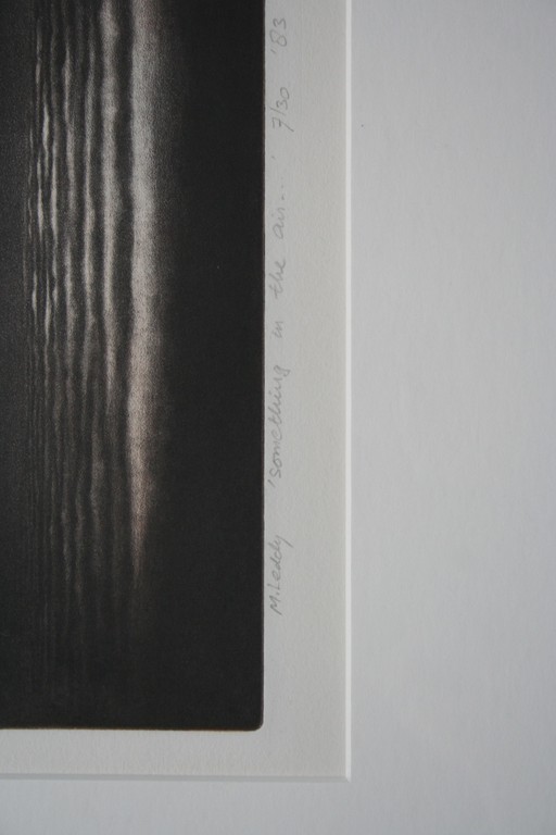 Madeleine Leddy, aquatint ets, 'Something in the air..' 1983, gesigneerd kopen? Bied vanaf 40!
