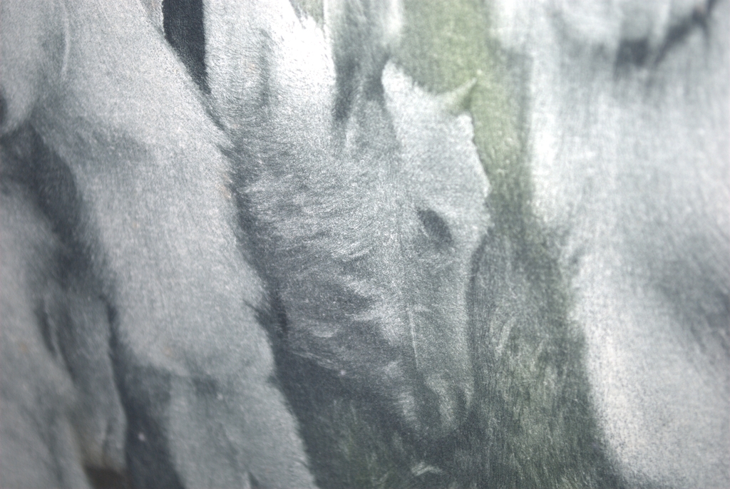 2 GEITJES - GROTE KLEURENETS UIT 1939 - EPREUVE D'ARTISTE kopen? Bied vanaf 159!