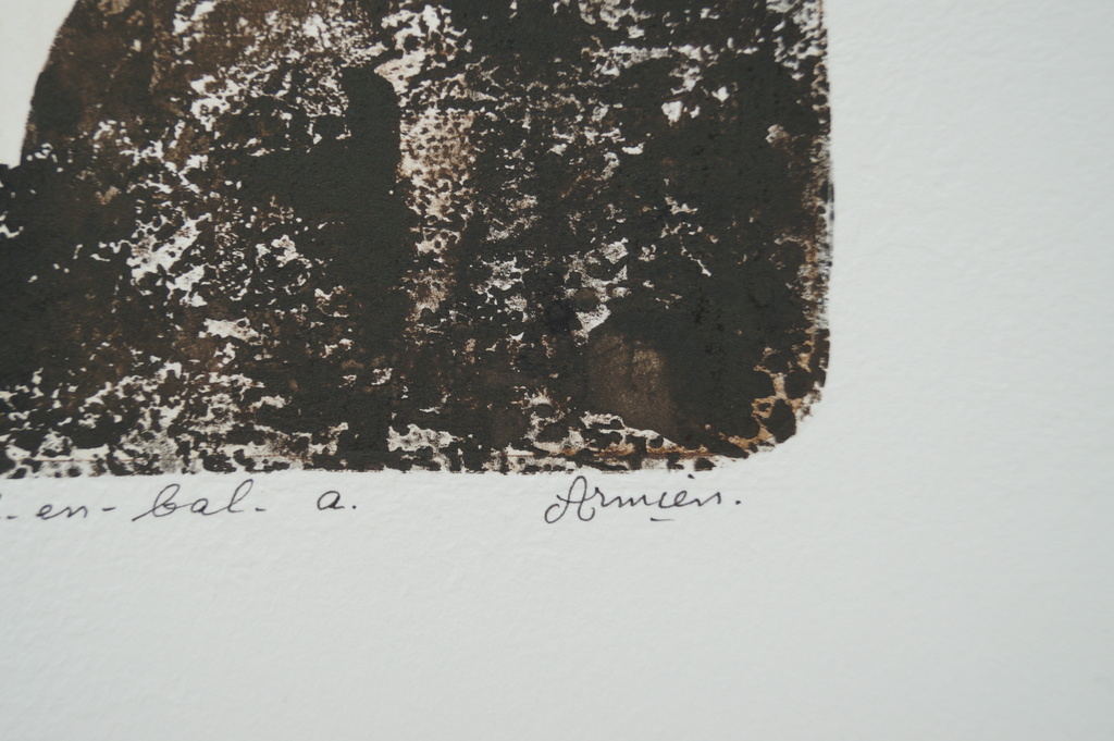 Armien Visser - gesigneerde ets - klein paard en bal a. kopen? Bied vanaf 1!