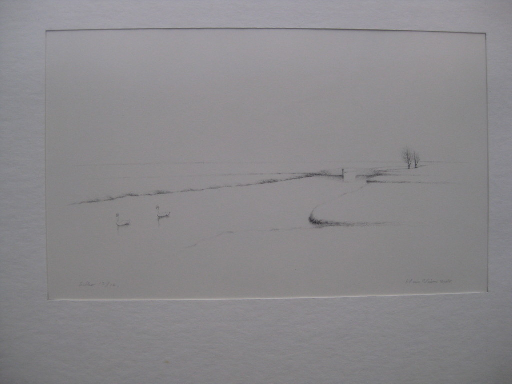 Hans Visser Litho 12/12 kopen? Bied vanaf 1!