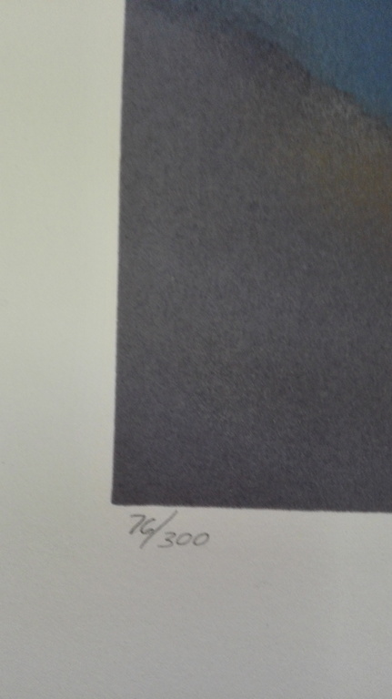 Onbekende kunstenaar, zeefdruk op papier,  kopen? Bied vanaf 1!