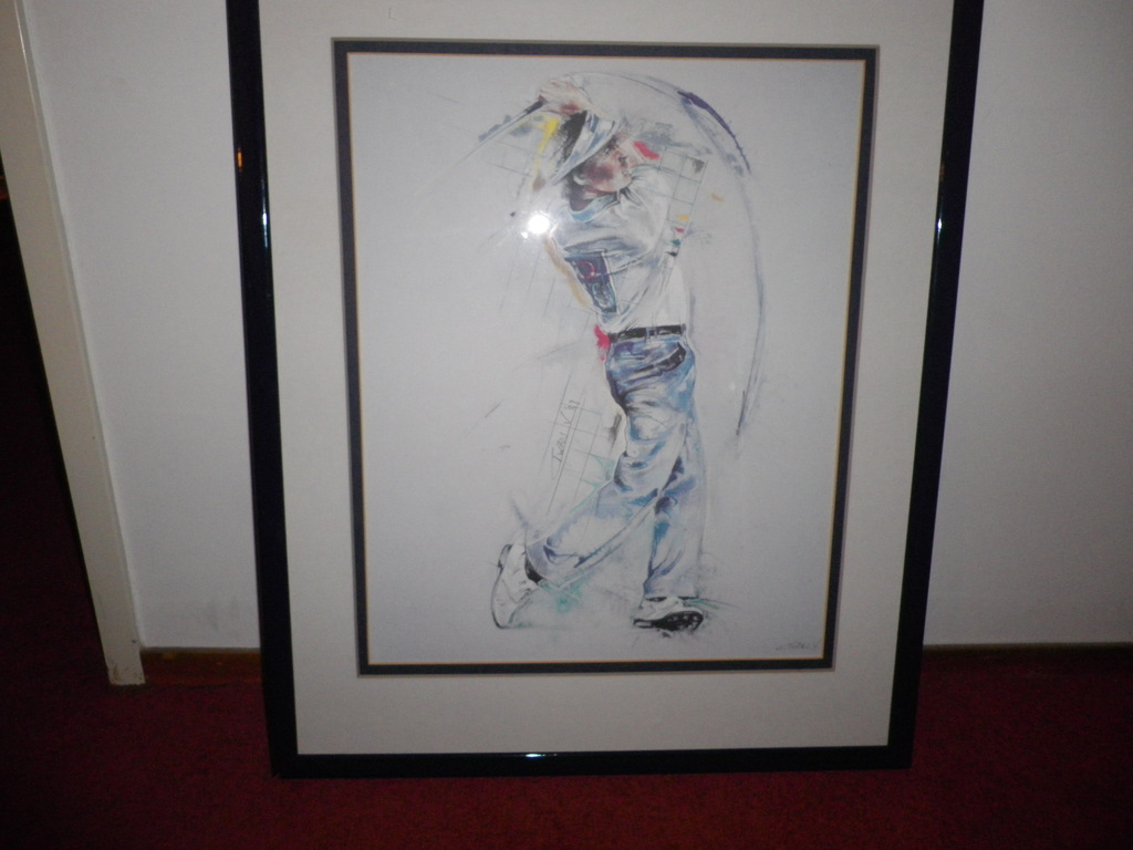 twan van de vorstenbosch kopen? Bied vanaf 40!