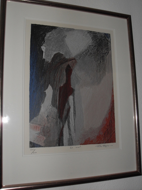 RIJPKEMA / LITHO kopen? Bied vanaf 50!